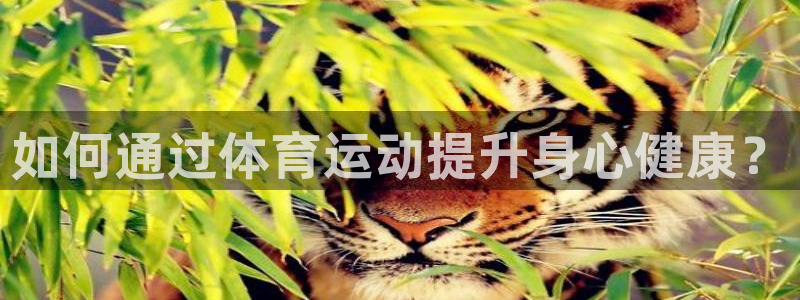 JJB竞技宝官方正版app代理:如何通过体育运动提升身心健康